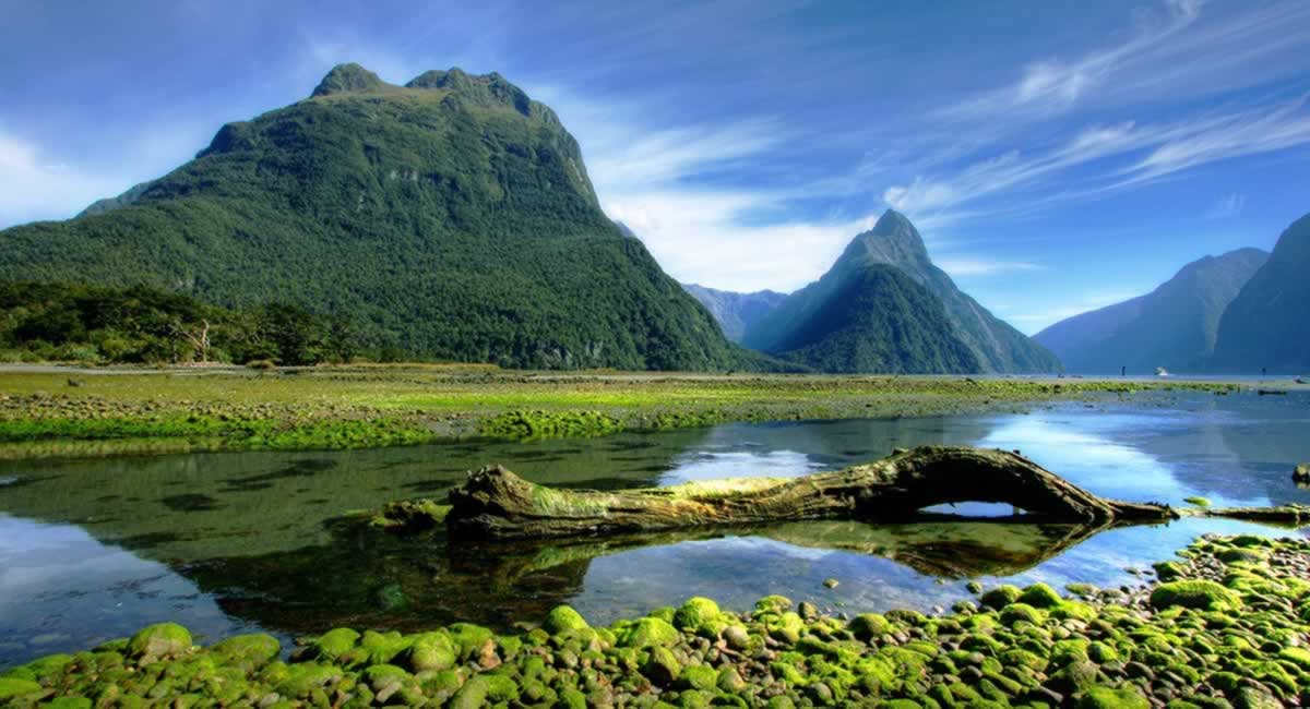 Corso La programmazione, la progettazione e la sostenibilità energetica ed ambientale degli affidamenti WEBINAR